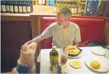  ??  ?? Sean McDonough eats lunch at the Macaroni Grill in South Portland, Maine, with his service dog Bruno at his side. McDonough suffered brain injuries in a car crash in 2008 and depends on Bruno to keep him calm in public settings.