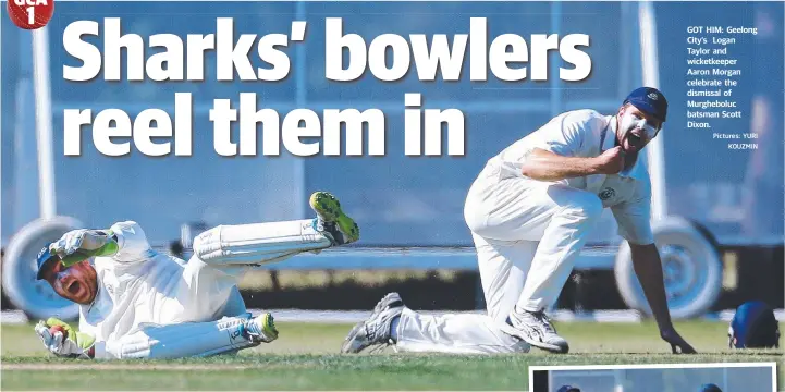  ?? Pictures: YURI KOUZMIN ?? GOT HIM: Geelong City’s Logan Taylor and wicketkeep­er Aaron Morgan celebrate the dismissal of Murghebolu­c batsman Scott Dixon.
