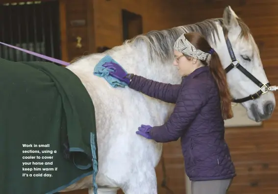  ??  ?? Work in small sections, using a cooler to cover your horse and keep him warm if it’s a cold day.