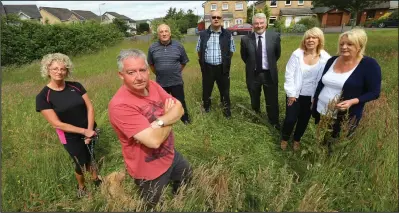  ??  ?? Ian Aitken, front, with residents of Briarcroft in Robroyston, have had enough of unmaintain­ed land