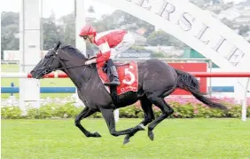  ?? Picture / Trish Dunell ?? Mongolian Marshal has drawn wide for the Derby.