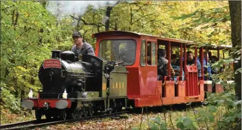  ?? ?? BELOW: The loco climbs through the autumnal woods shortly after the level crossing by Haigh Hall locomotive shed. Photos: Donald Brooks, taken on 30th October