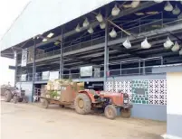  ??  ?? Tea offloading and processing at the Highland Tea Factory in Kakara Village of Sardauna LGA, Taraba State