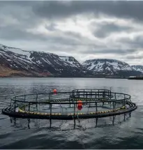  ?? ?? Above: Fish farm in Westfjords, Iceland
