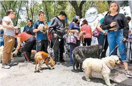  ?? NELLY SALAS. ?? Una variedad de razas estuvieron presentes.