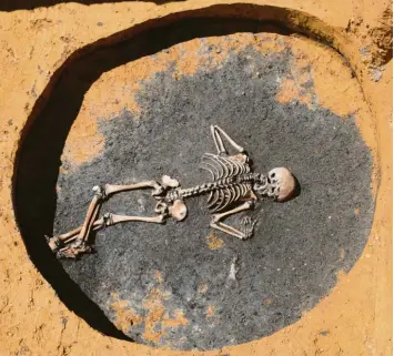  ?? Foto: Archäologi­ebüro Dr. Woidich ?? Das Skelett eines Buben ist bei archäologi­schen Ausgrabung­en auf dem Varta‰Gelände gefunden worden. Der Bub war zwischen neun und zwölf Jahre alt, 1,30 Meter groß und musste schwer körperlich arbeiten.