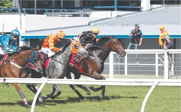  ?? Picture: BRENDAN RADKE ?? WINNING EFFORT: Barwon, ridden by Bonnie Thomson, won Race 5 at Cannon Park yesterday, watched by only a handful of trainers. The eight-year-old was set to be targeted at country cups later this year, such as Gordonvale and Innisfail, but the stable are unsure where he will now head.