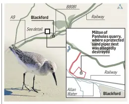  ??  ?? Our graphic shows the area were the sand martins’ roost was situated.