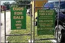  ?? Photograph submitted ?? Vendor J.D. Hudson Farms is offering eggs, pork and beef this season at the Pea Ridge Farmers Market.