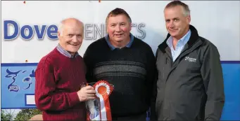  ??  ?? Prize Winner TJ Murphy Castlemagn­er with John Cott Chairman and Bertie Desmond Dovea at the October Weanling Show and Sale.