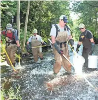  ?? PAUL A. SMITH / MILWAUKEE JOURNAL SENTINEL ?? A UW-Stevens Point research team led by Eric Wegleitner (right) uses electro-shocking equipment to assess trout and salmon production on Stoney Creek near Algoma.