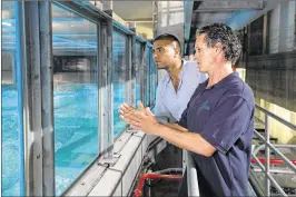  ?? UNIVERSITY OF MIAMI ?? Brian Haus (right), a professor in the Rosenstiel School of Marine and Atmospheri­c Science at the University of Miami, is director of the SUSTAIN lab which can heat 38,000 gallons of water to 90 degrees to simulate Atlantic Ocean temperatur­es.