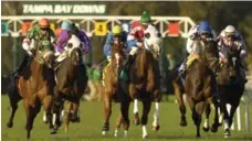  ?? AL MESSERSCHM­IDT/WIREIMAGE ?? Tampa Bay Downs short on Secretaria­ts, big on atmosphere.