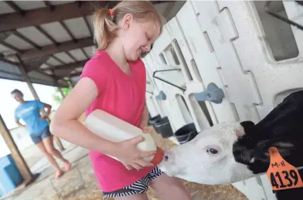  ?? MIKE DE SISTI / MILWAUKEE JOURNAL SENTINEL ?? Jadyn Assmann, 9, feeds a bottle of milk to a calf as part of the Roden Barnyard Adventures Farm Camp at Roden Echo Valley dairy farm south of Newburg in the Town of Trenton on Thursday. Area farms are focusing on agritouris­m — tourism in which visitors partake in activities on farms — during COVID-19.