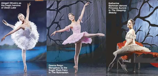  ??  ?? Katherine Barkman dances Princess Aurora in The Sleeping Beauty. Abigail Oliveiro as the tragic heroine of Swan Lake Dawna Reign Mangahas as the Sugar Plum Fairy in The Nutcracker.