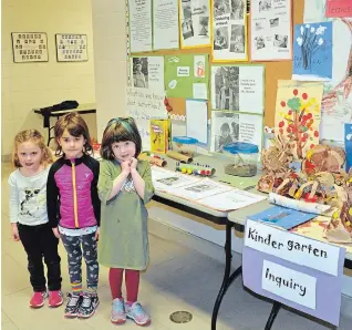  ?? SPECIAL TO THE EXAMINER ?? St. Paul’s Norwood Kindergart­en students participat­ed in the annual science fair on Nov. 26.