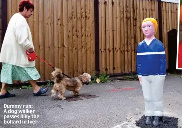  ??  ?? Dummy run: A dog walker passes Billy the bollard in Iver