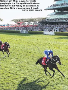  ?? PHOTO: GETTY IMAGES ?? Golden girl Winx leaves her rivals gasping in the George Main Stakes at Randwick in Sydney on Saturday. It was her 20th win at group 1 level.