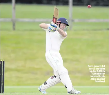  ??  ?? Runs galore: Ed Joyce brought up his 2,000th
ODI run for Ireland in his 31no against
Scotland