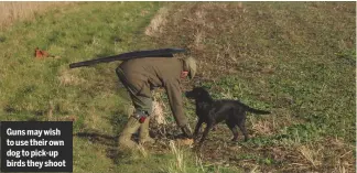  ??  ?? Guns may wish to use their own dog to pick-up birds they shoot