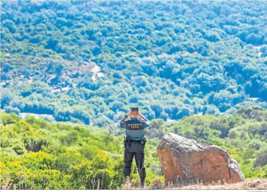  ?? JULIO GONZÁLEZ ?? Un agente del Seprona vigilando el parque natural de Los Alcornocal­es en el término municipal de Alcalá de los Gazules.