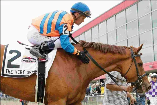  ?? BARBARA D. LIVINGSTON ?? Jockey Javier Castellano pats Everything Lovely after her win in the The Very One Stakes at Pimlico Race Course in May 2017.