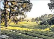  ?? Maria Alejandra Cardona Los Angeles Times ?? THIS cemetery — Forest Lawn — is a good place to take a stroll.