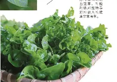 你當是草 竟然是寶 Pressreader