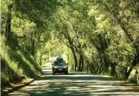  ?? Mark Boster/Los Angeles Times/TNS ?? ■ Six Mile Road in the heart of Gold Country provides a scenic drive through a canopy of trees May 2, 2017, in the town of Murphys, Calif. In the time of coronaviru­s, more people are looking at car trips as opposed to flying.