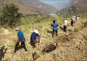  ?? Photo courtesy: China Daily ?? Villagers in China work in the fields.