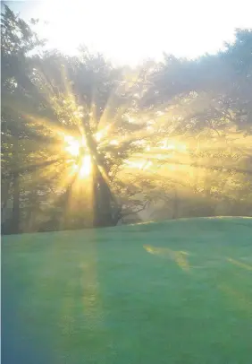  ??  ?? Hope It seems like there is light at the end of the tunnel for golfers in South Lanarkshir­e