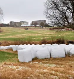  ?? PÅL CHRISTENSE­N ?? Skal jordene på Ullandhaug.bli studentbol­iger eller vanlige boliger.