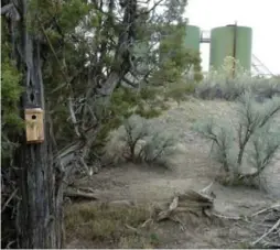  ?? NATHAN KLEIST/THE WASHINGTON POST ?? A nesting box near a natural gas facility. Researcher­s found that birds nesting near sources of persistent noise show signs of chronic stress.