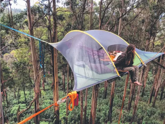  ??  ?? Tentsile tents floating in the trees are part of a plan to redevelop Green Mountains campground next to O’Reilly’ Rainforest Retreat.