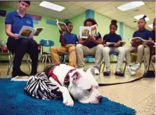  ?? — TNS ?? See those eyes on Knox the pit bull? That’s him focused on the sound of hte kids’ voices as they practice their skills by reading to him.