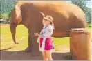  ??  ?? Emma Scott with some of the rescued elephants at the Elephant Nature Park in Chiang Mai.