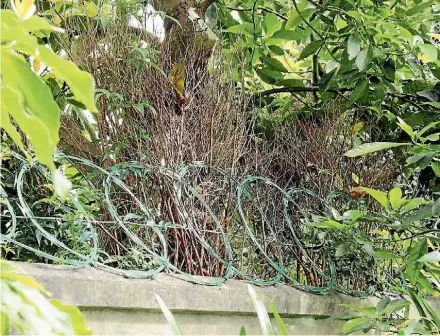  ?? JACKSON THOMAS/STUFF ?? Razor wire lines the bordering wall of this property at 67 Gribblehir­st Rd, Sandringha­m.