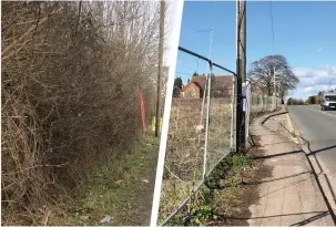  ??  ?? Before and after - the hedge by the A38 has been removed