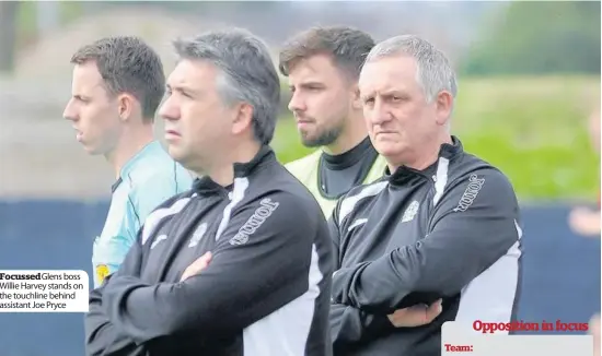  ??  ?? Focussed Glens boss Willie Harvey stands on the touchline behind assistant Joe Pryce
