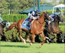  ?? PHOTO CHRIS RAHAYEL/NYRA ?? Infinite Wisdom with Irad Ortiz, Jr. aboard racing to the 2017 installmen­t of the John’s Call at Saratoga Race Course.