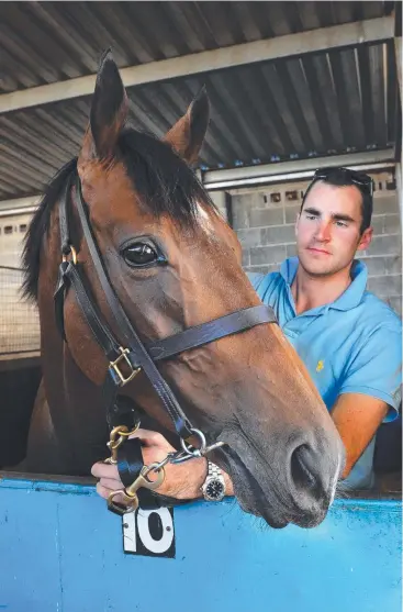  ??  ?? METEORIC RISE: Well-travelled trainer Archie Alexander, pictured with Renew at Leon Macdonald's Morphettvi­lle stables, chose a winding career path for very good reasons – and it’s paid off.