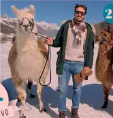  ?? BETTINI ?? 2
Dall’album
1. L’affondo di Alberto Bettiol, 29 anni, sul Paterberg in pavé al 22%: è trionfo AFP
2. In relax tra lama e alpaca a Livigno
3. Re e regina del 2019: Bettiol con Marta Bastianell­i, 35 anni