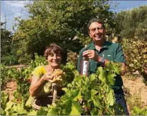  ?? (Photo Ma.D.) ?? Janine et Yvon Nicol au milieu de la vigne plantée en  dans le quartier de Coste Chaude.