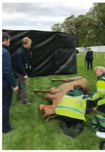  ?? ?? Should the rider be trapped under a fallen horse, the course vet will work under the direction of the attending doctor