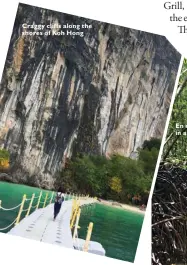  ??  ?? Craggy cliffs along the shores of Koh Hong