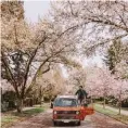  ??  ?? In their 1983 Volkswagen Westfalia in Vancouver, April 2018