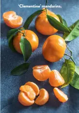 ??  ?? ‘Clementine’ mandarins.