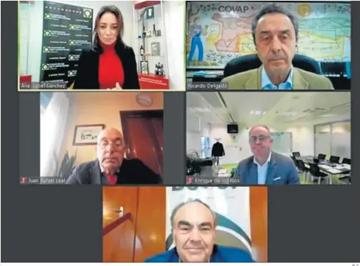  ?? M. G.. ?? Imagen de la mesa redonda, con los representa­ntes de las cooperativ­as que tuvo lugar en el webinar de Cooperativ­as Agro-alimentari­as de Andalucía.