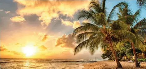  ??  ?? Besoin de chaleur et de magnifique­s plages ? Les Caraïbes vous ouvrent grand leurs bras.