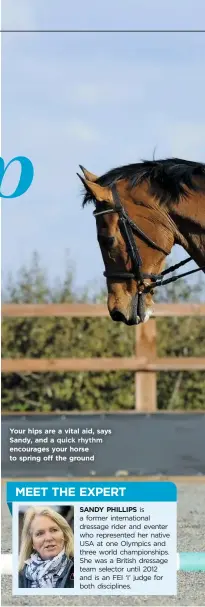  ??  ?? Your hips are a vital aid, says Sandy, and a quick rhythm encourages your horse to spring off the ground